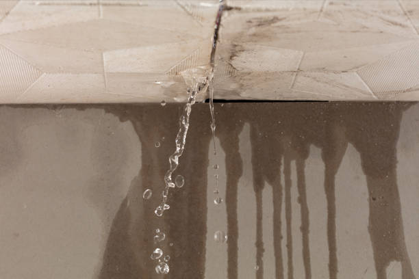 Professional Water Damage Restoration technician working in Collins, WI
